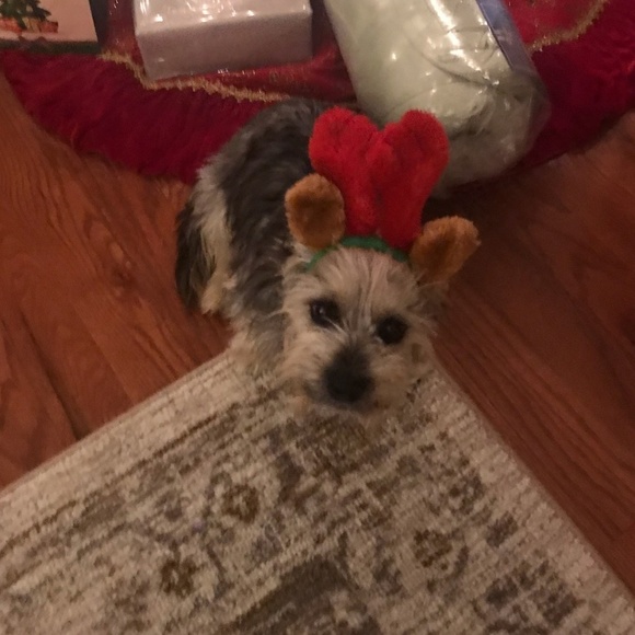 Meet your Posher, Brian - Picture 1 of 1